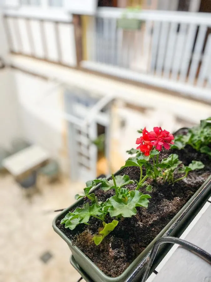 Bed & Breakfast Nogapatio - Maison D'Hotes - Bnb Nogaro